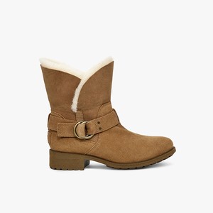 Ugg Bodie Women All-Weather Boots Brown (3920YXNKT)